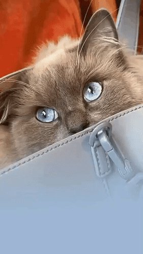 Анимированная открытка доброе утро хорошее