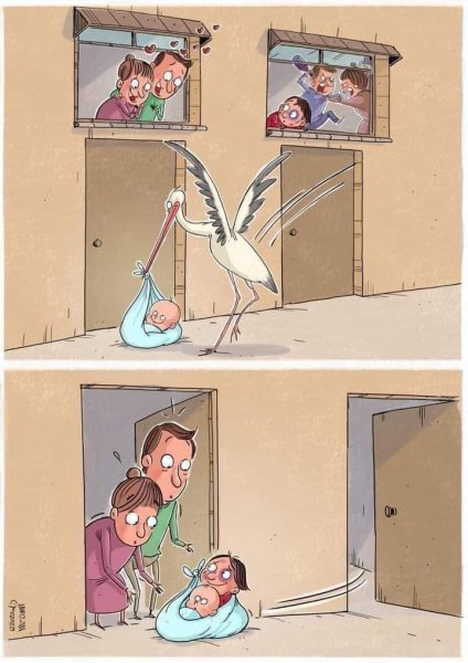 FB IMG 1704388953823