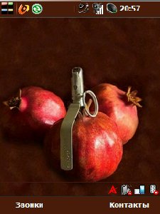 pomegranate by berger in 17012010224300