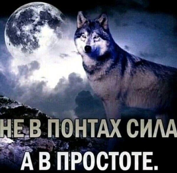 FB IMG 16375337777496441