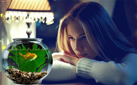 Девушка и Золотая рыбка