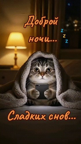 Анимированная открытка доброй ночи сладких (1)