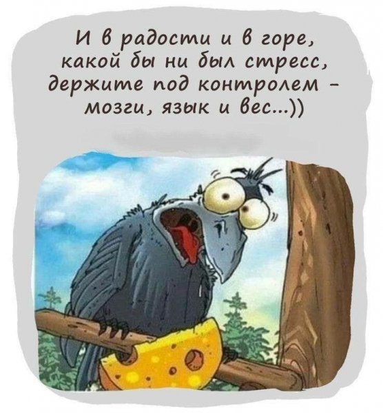 4b5cb5ea8c89e2b896fb72771e55db8f