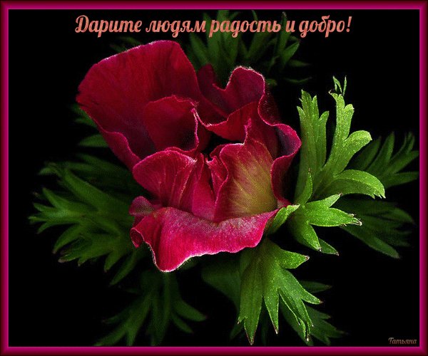 Анимированная открытка дарите людям