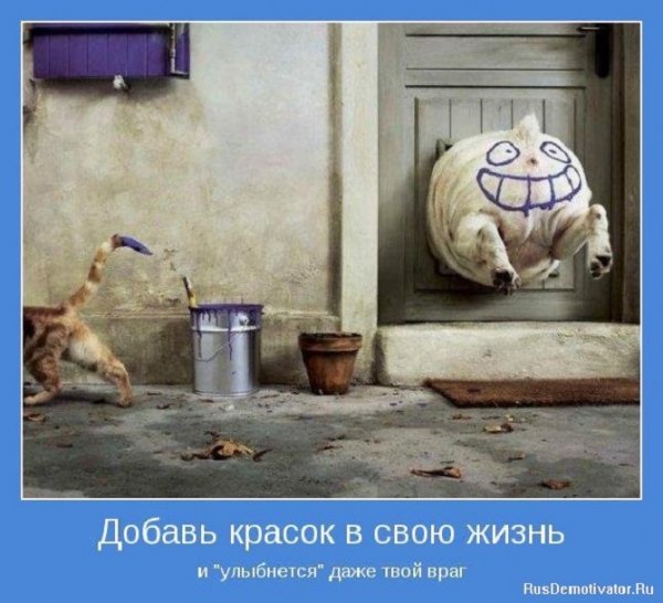 Добавь красок в свою жизнь