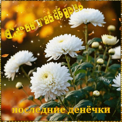 Анимированная открытка сентябрь последние