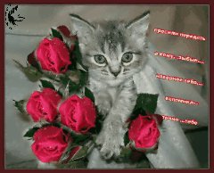 просили передать