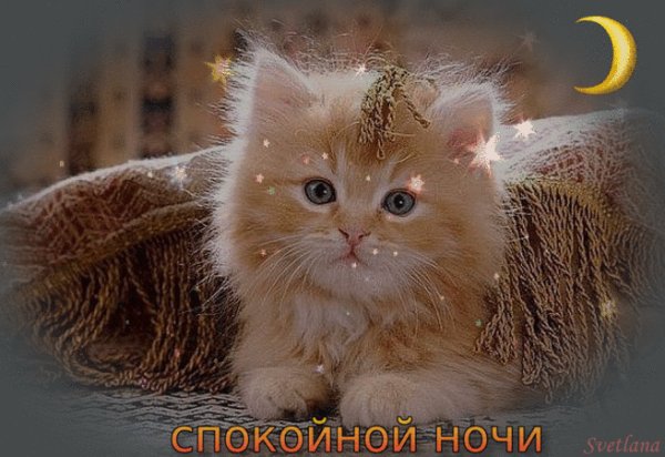 спокойной ночи 110826 43