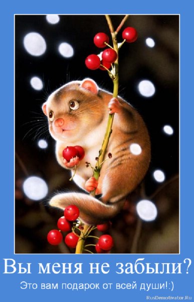 А вы меня не забыли?