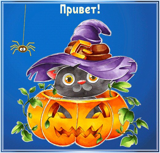 Анимированная открытка привет с днём