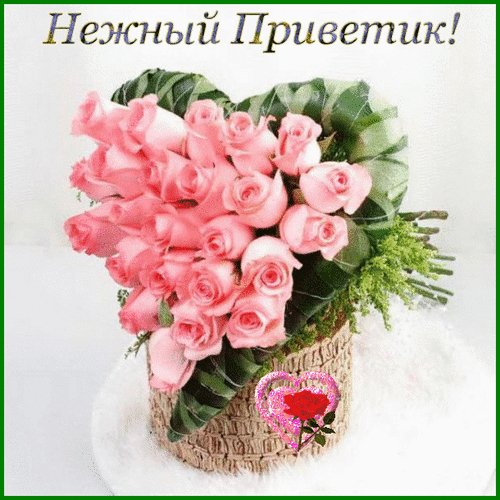 Анимированная открытка нежный привети