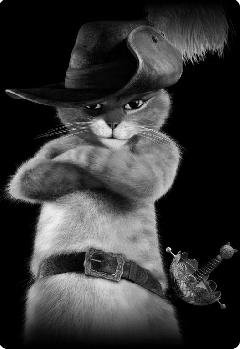 (Г.В.В) Укурыный Кот.