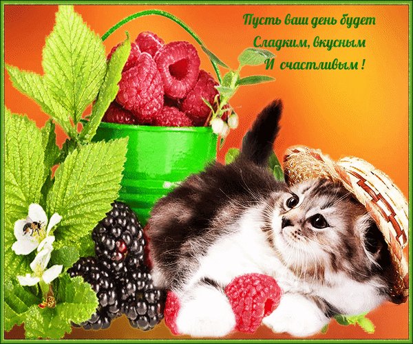 Анимированная открытка пусть ваш день