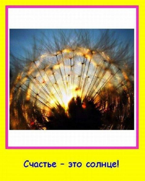 Счастье - это солнце...