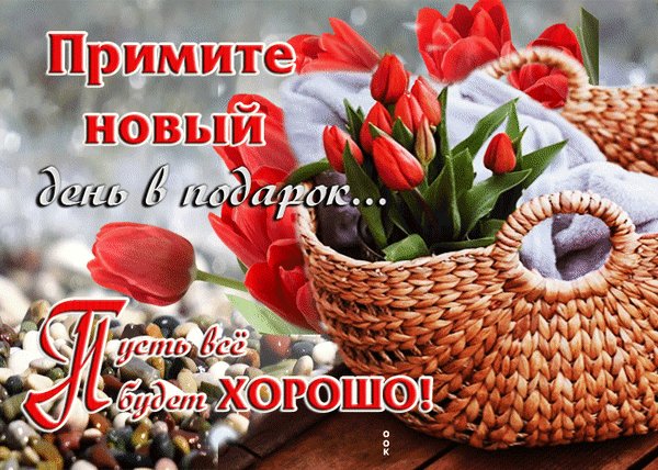 Анимированная открытка примите новый (1)