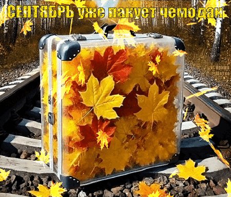 Анимированная открытка сентябрь уже