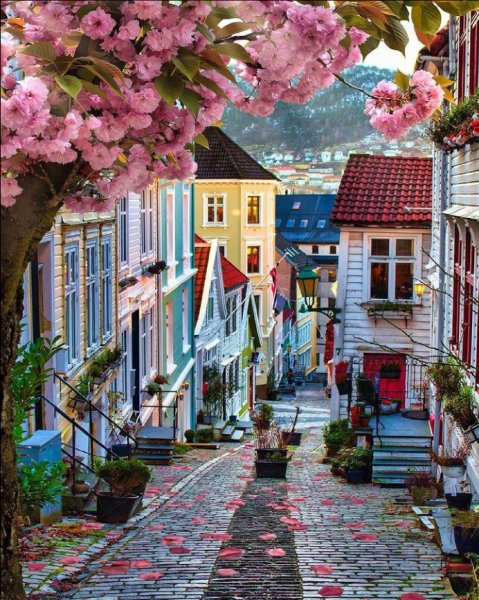 Screenshot 2021-05-19-13-37-42