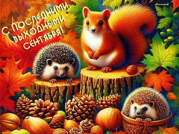 Анимированная открытка с последними