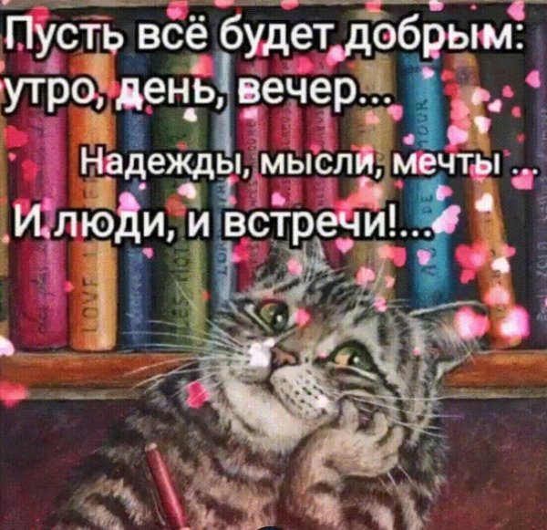 Screenshot 20250313 015531