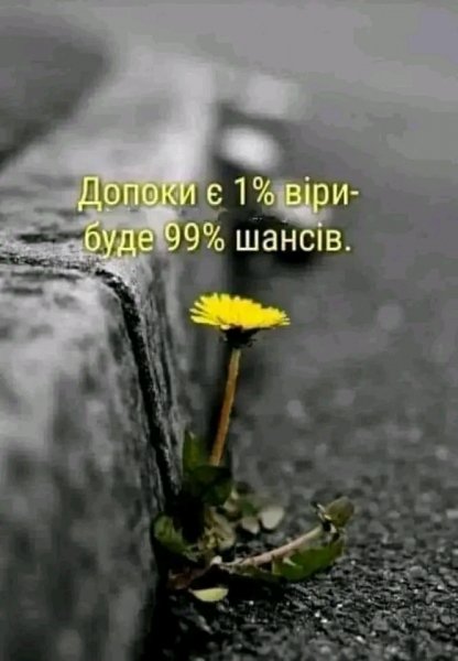 FB IMG 16709668138118495