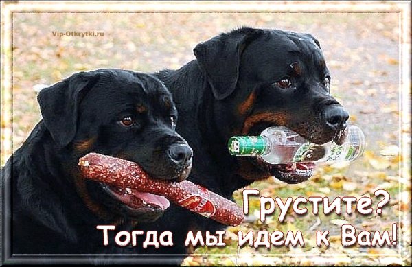 Мы идём к вам