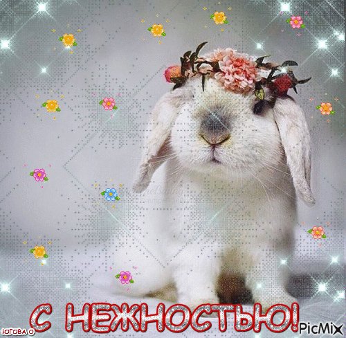 Анимированная открытка с нежностью (1)