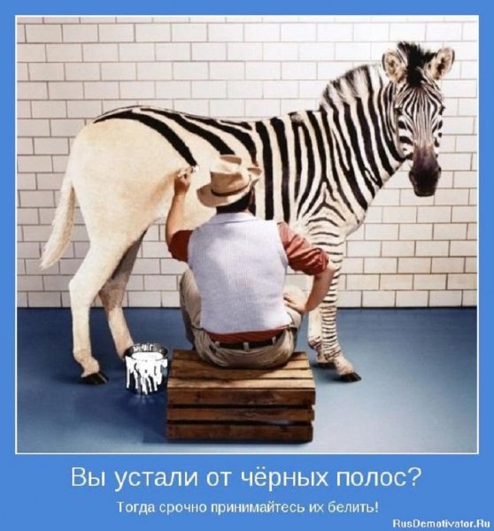 Вы устали от чёрных полос?