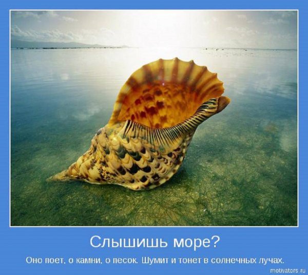 Слышишь море?