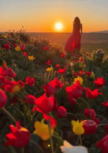 Doc379484594 681479366