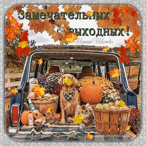 Анимированная открытка замечательных