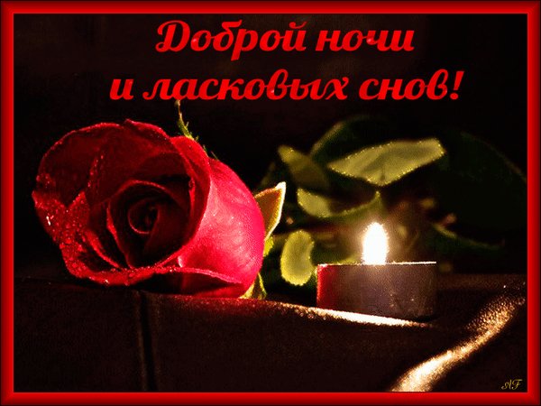 Анимированная открытка спокойной ночи (13)