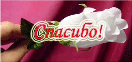 IMG 20160603 141746 0