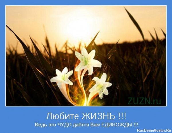 Любите жизнь!