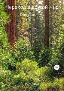 Nickname Pereploot Переход в другой мир. Цикл из 4 книг