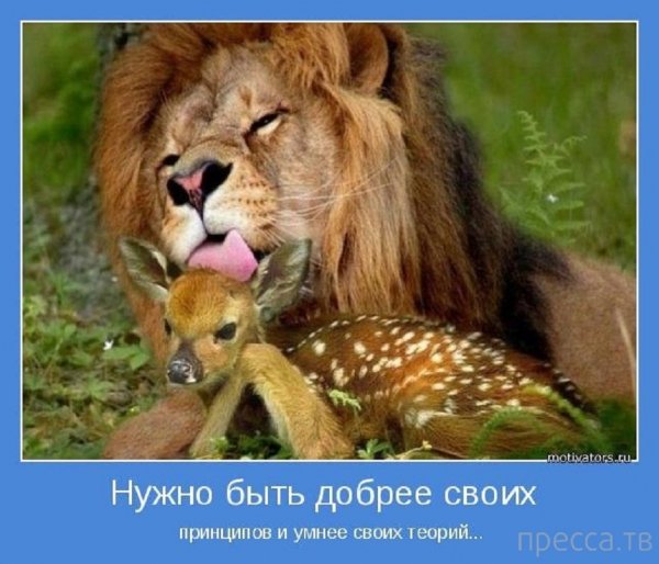 Нужно быть добрее...