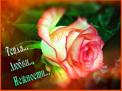 Анимированная открытка тепла любви нежности