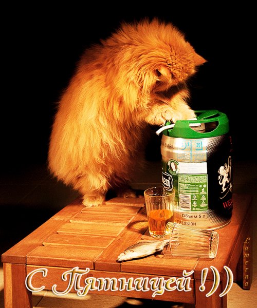 С пятницей!