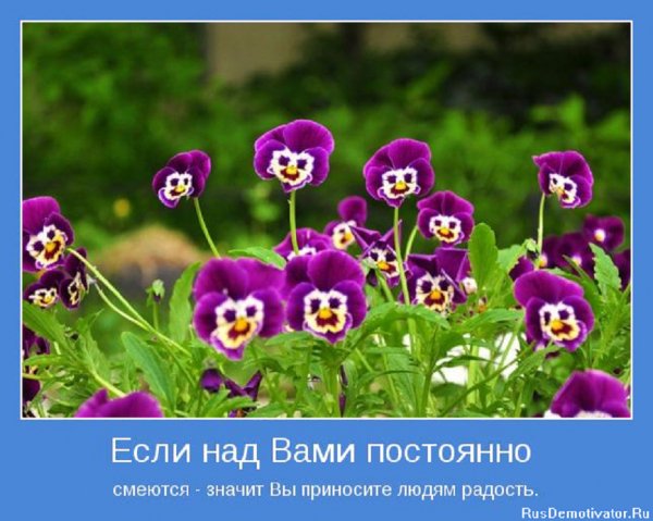 Значит вы приносите людям счастье