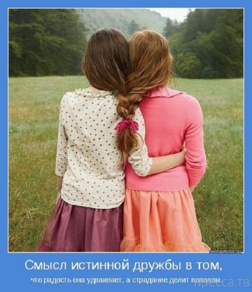 Истинная дружба