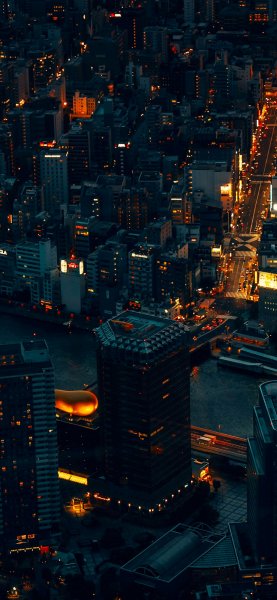 IMG 20241123 071040 781