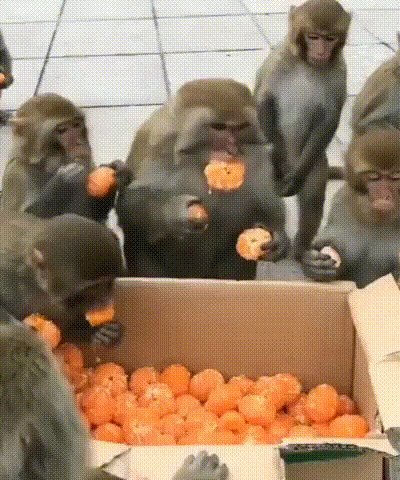 1ae14386900046e0f7b4846999cb2dd5cf1ac65c92582bb348773fb3dc1af