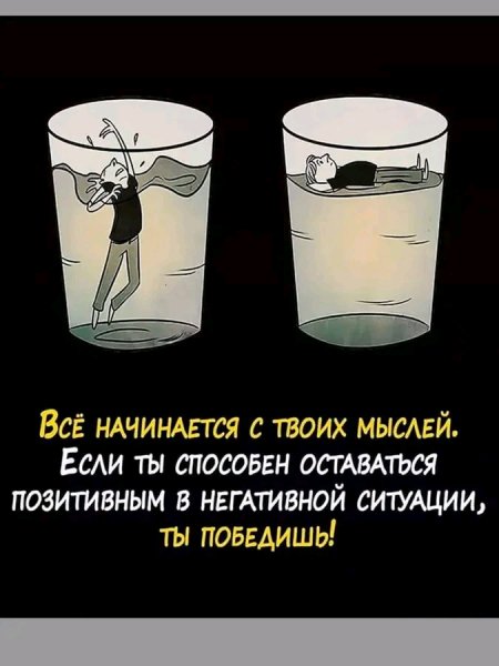 FB IMG 16683770921896207