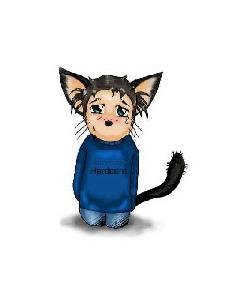 кошка думает