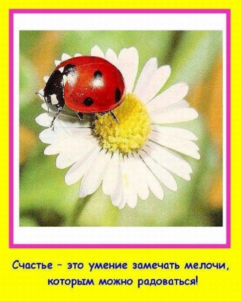 Счастье - это...