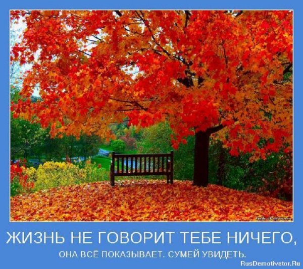 Жизнь не говорит ничего, она показывает