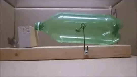 Интересно 203004 0