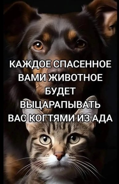 Каждое животное