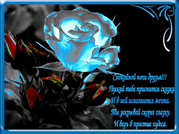 Анимированная открытка спокойной ночи (33)