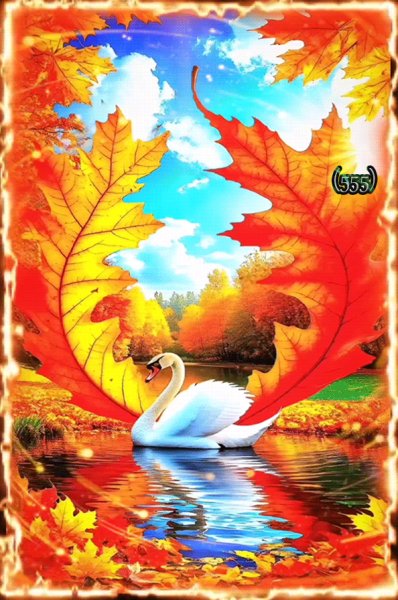 Лебедь.Осень.