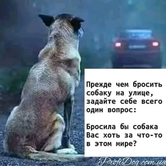 FB IMG 16684268659457114